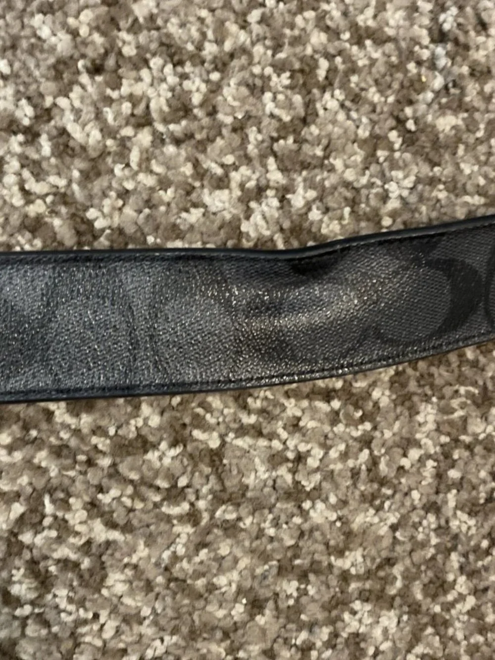 Coach f22540 harness